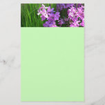 Pink Phlox and Grass Summer Floral Stationery