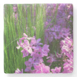 Pink Phlox and Grass Summer Floral Stone Coaster