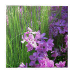 Pink Phlox and Grass Summer Floral Tile