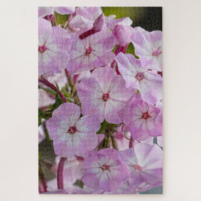 Pink Phlox, Canadian Wonder Jigsaw Puzzle (Vertical)