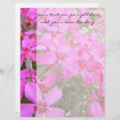 Pink Phlox Flowers Letterhead (Front/Back)
