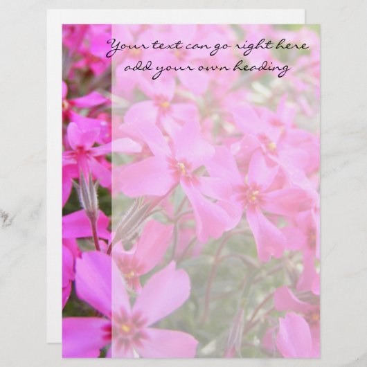 Pink Phlox Flowers Letterhead (Front/Back)