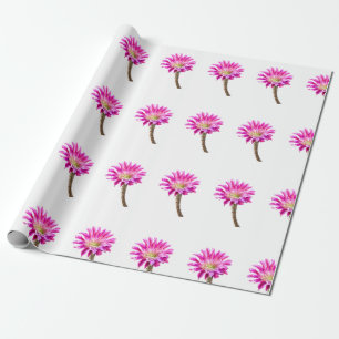 Pink Piazza cactus flower in bloom Wrapping Paper