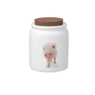 Pink Pig Candy Jar