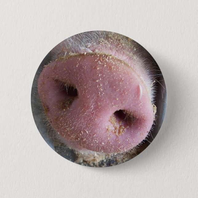 Pink Pig nose close up photograph Button (Front)