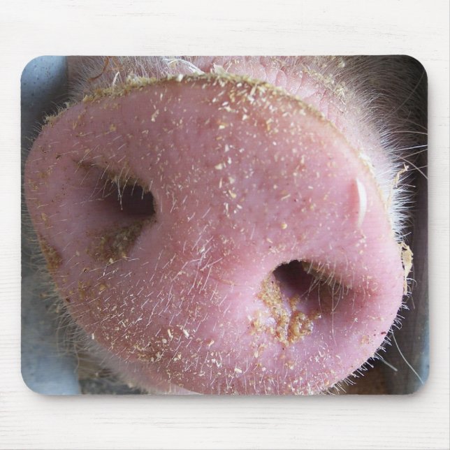 Pink Pig nose close up photograph Mouse Pad (Front)