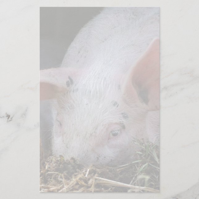 Pink pig photo stationery (Front)