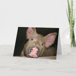 Pink Piglet Card