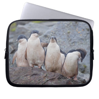 Pink Pingos Laptop Sleeve