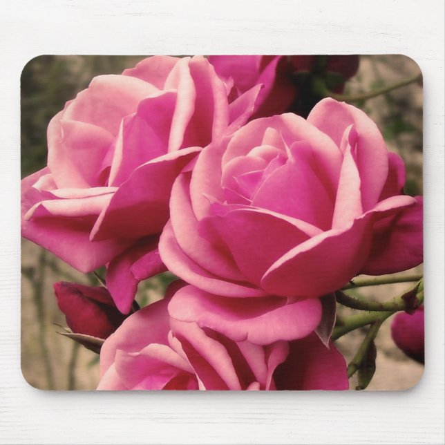 Pink Pirouette Roses Mouse Pad (Front)