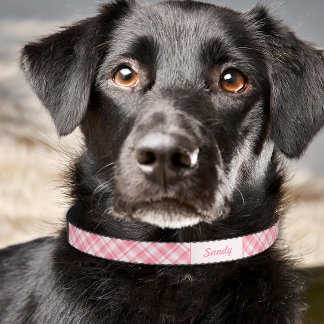 Pink Plaid Pattern With Custom Pet Name Pet Collar