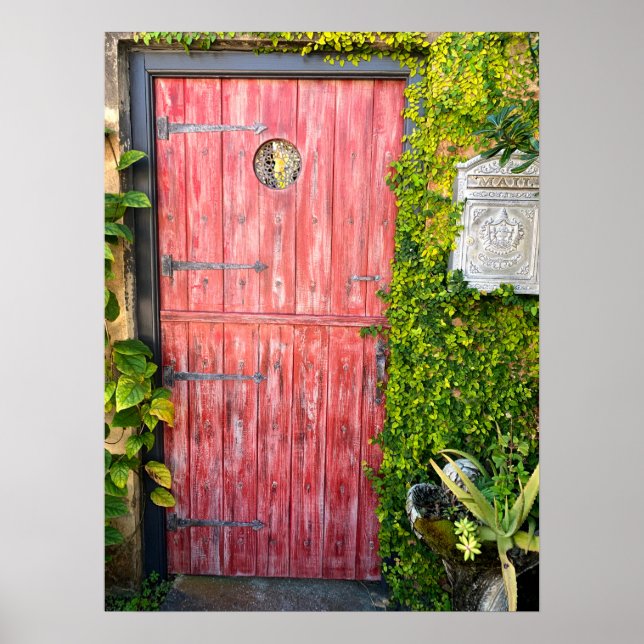  Pink Plants Wood Door St Augustine Florida Photo Poster (Front)