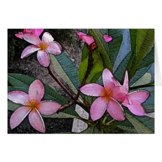 Pink Plumeria Card