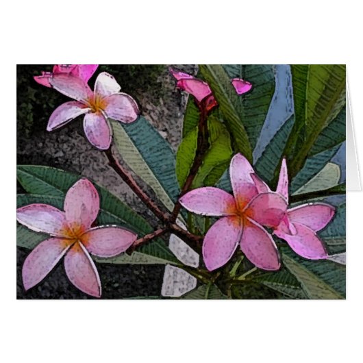 Pink Plumeria Card (Front Horizontal)