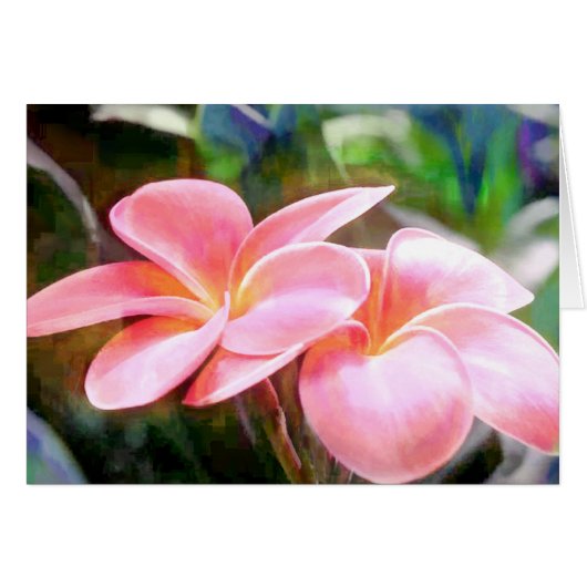 Pink Plumeria Cards (Front Horizontal)