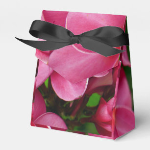 Pink plumeria floral photo favor boxes