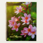 Pink Plumeria Flower Planner