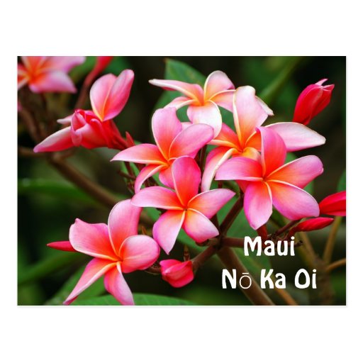 Luxury 15 Card Ka Flower