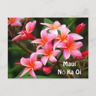 Pink Plumeria Flowers, Maui Nō Ka Oi Postcard