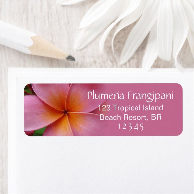 Pink Plumeria Frangipani Flower Tropical Address Label (Insitu)