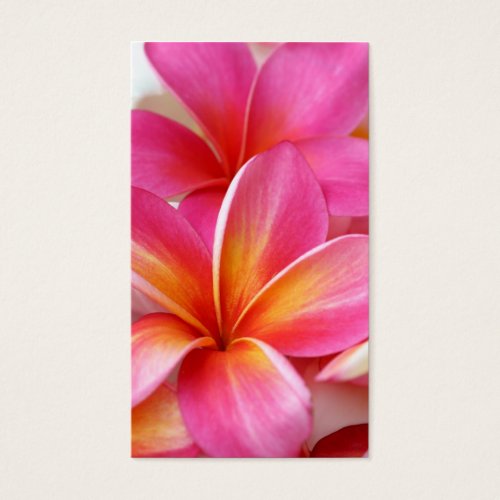 Pink Plumeria Frangipani Hawaii Flower Hawaiian Business Card Templates