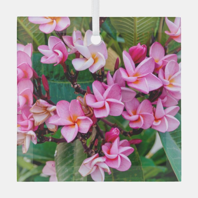 Pink Plumeria Glass Ornament (Front)