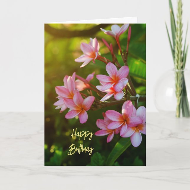 Pink Plumeria Happy Birthday Card (Front)