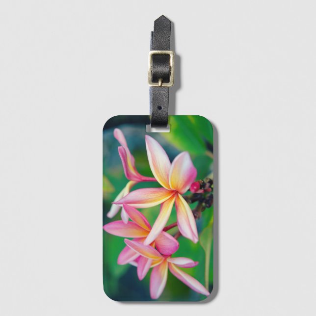 Pink Plumeria Luggage Tag (Front Vertical)
