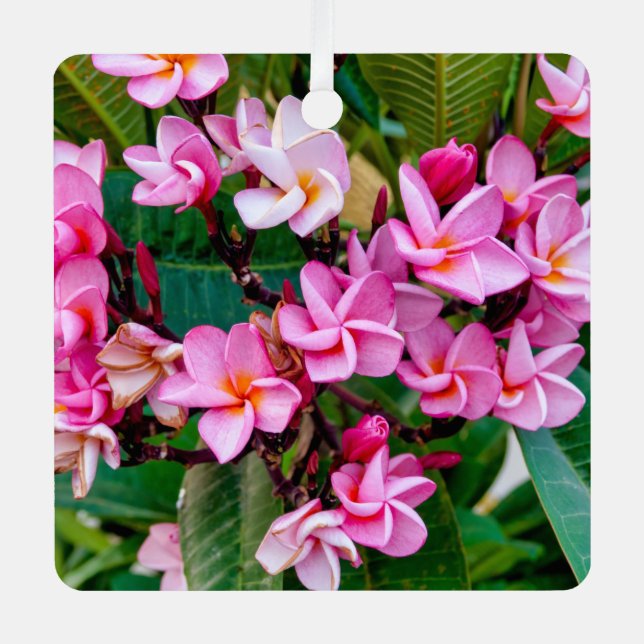 Pink Plumeria Metal Ornament (Front)