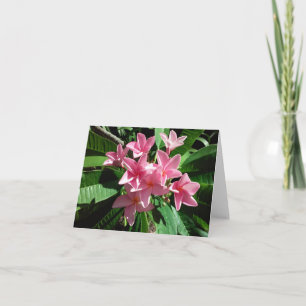 Pink Plumeria Photo Folded Note Card