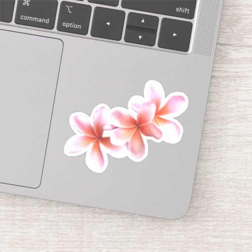 Pink Plumeria Real Floral Hawaiian Flowers Sticker