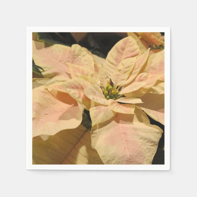 Pink Poinsettia Flower Paper Party Napkins (Front)