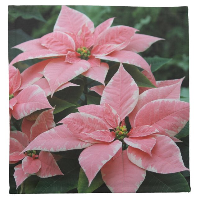 Pink Poinsettia Napkin (Front)