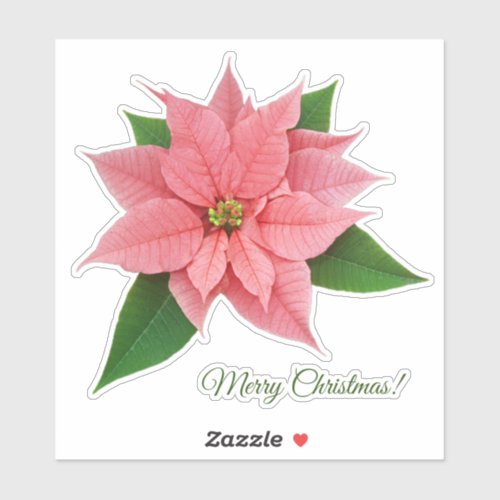 Pink Poinsettia Sticker