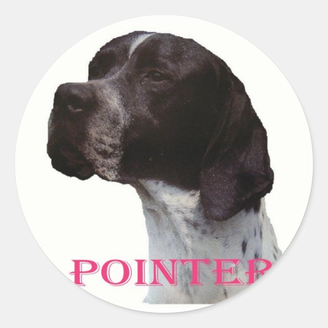 Pink pointer sticker (Front)