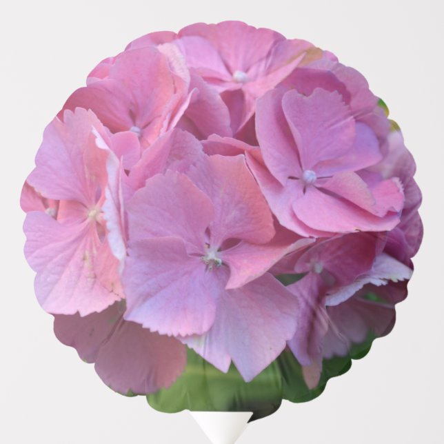 Pink Pompom Hydrangea Hortensia Flower Balloon (Front)