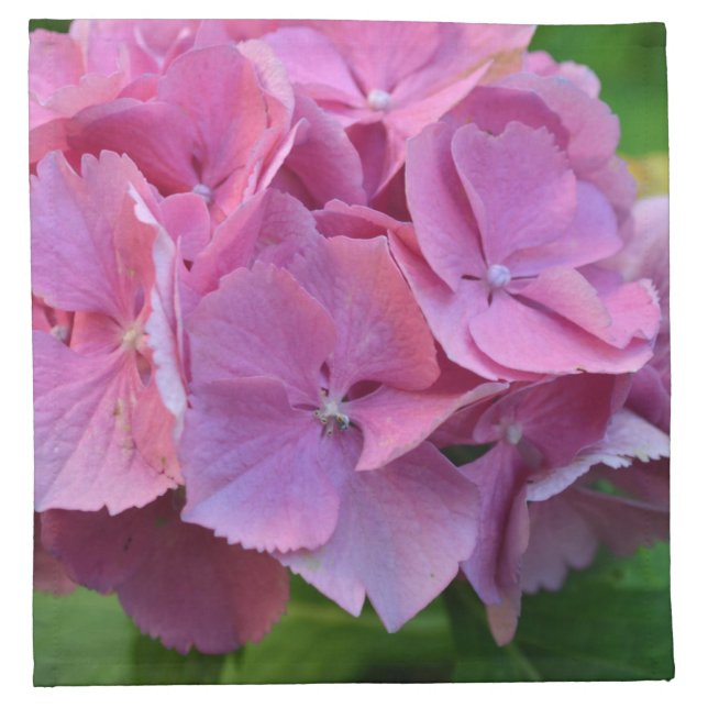 Pink Pompom Hydrangea Hortensia Flower Cloth Napkin (Front)