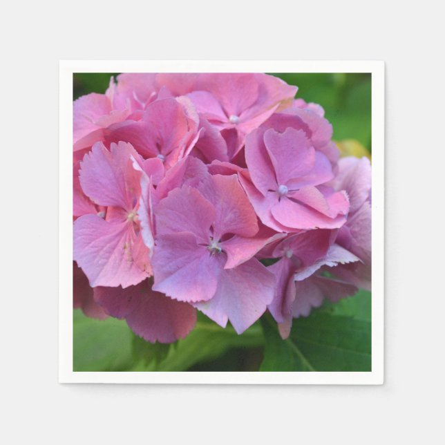 Pink Pompom Hydrangea Hortensia Flower Napkins (Front)