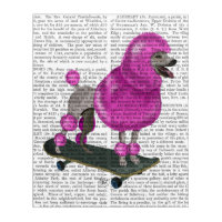 Pink Poodle and Skateboard