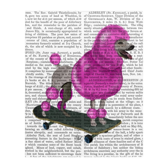 Pink Poodle and Skateboard Acrylic Print (Front)
