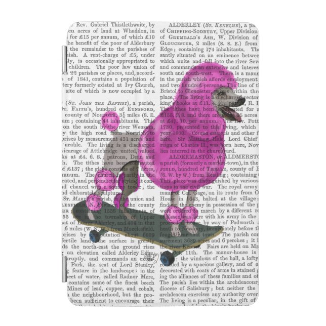 Pink Poodle and Skateboard iPad Mini Cover (Front)