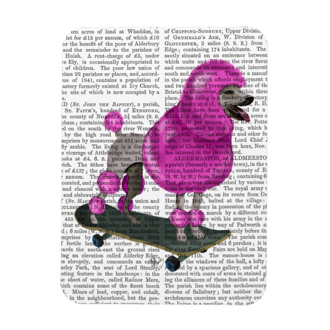 Pink Poodle and Skateboard Magnet (Vertical)