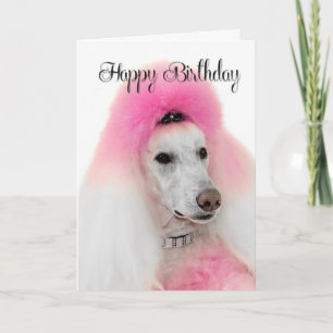 Pink Poodle Birthday Card