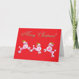 Pink Poodle Retro Merry Christmas Greeting Cards