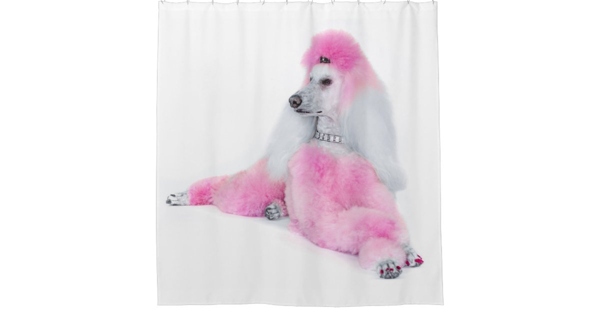 Pink Poodle Shower Curtain Zazzle Com