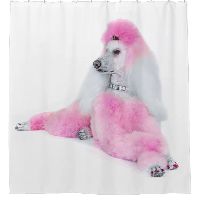 Pink Poodle Shower Curtain Zazzle Com Pink Poodle Shower Curtain Zazzle Com, Pink Poodle Shower Curtain
