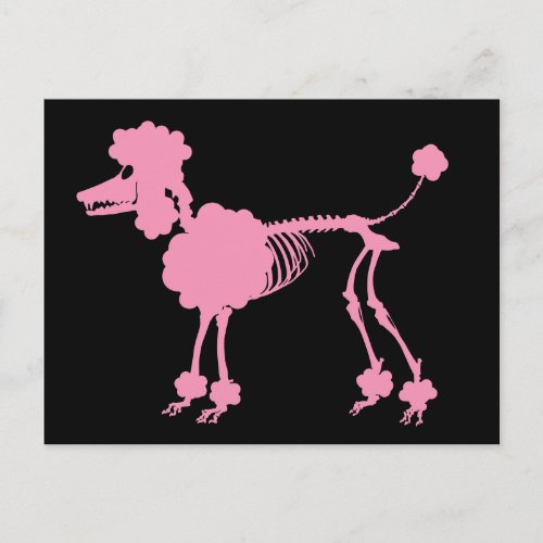 Pink Poodle Skeleton Postcard