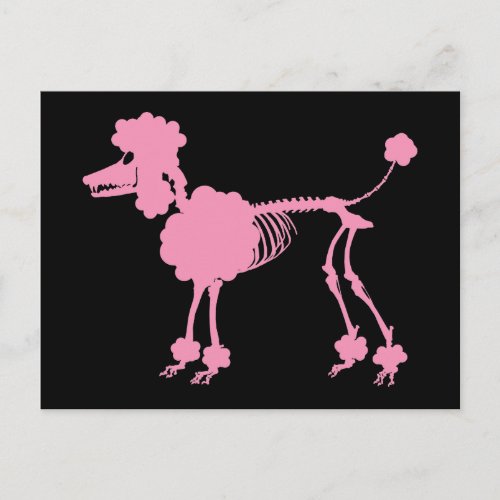 Pink Poodle Skeleton Postcard