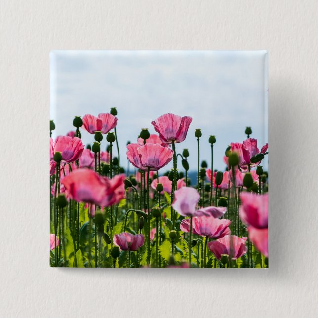 Pink Poppies Button (Front)