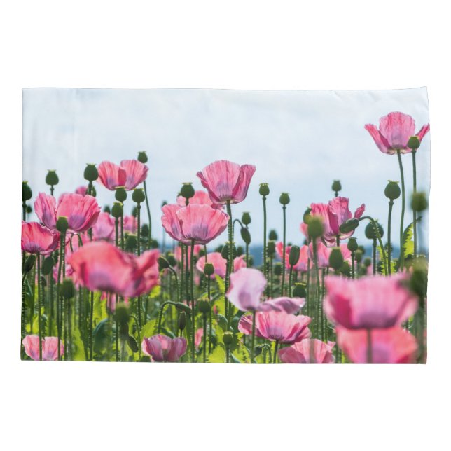 Pink Poppies Pillow Case (Back)